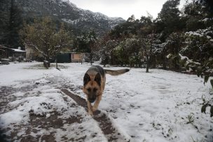 Sólo nevó en Lo Barnechea, pero se mantiene suspensión de clases en 40 comunas