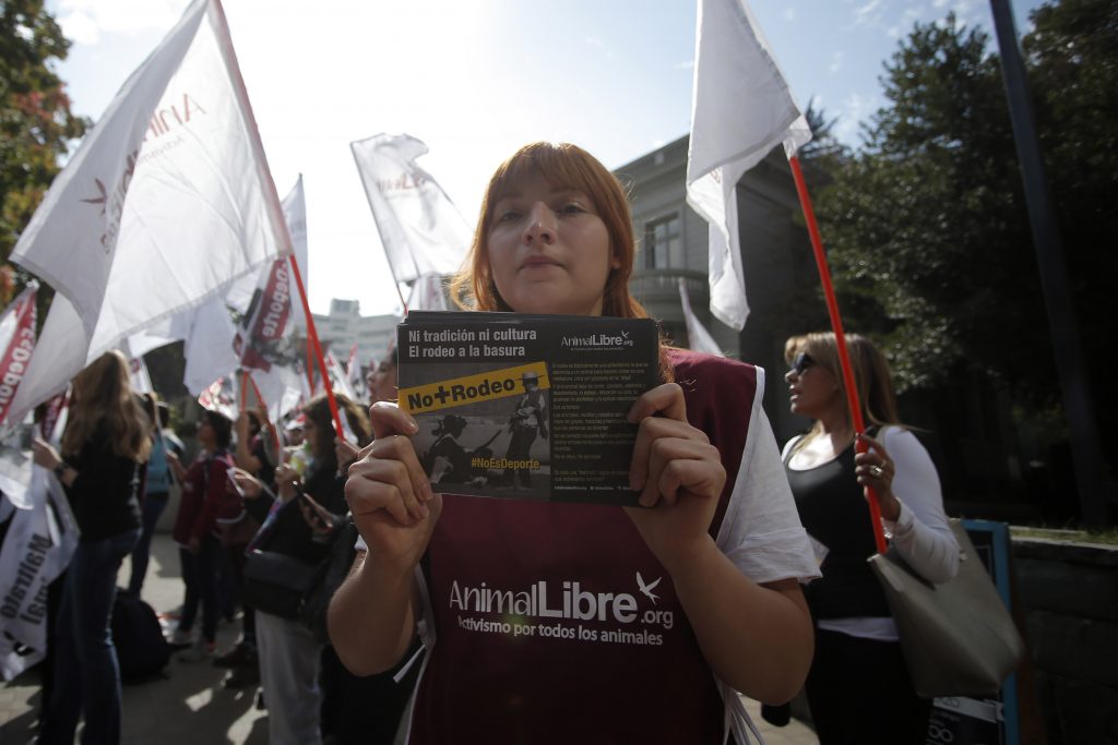 Ministra del Deporte se reunió con Animal Libre para revisar situación del rodeo