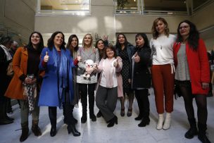 Cámara de Diputados aprobó crear comisión de Mujeres y Equidad de Género