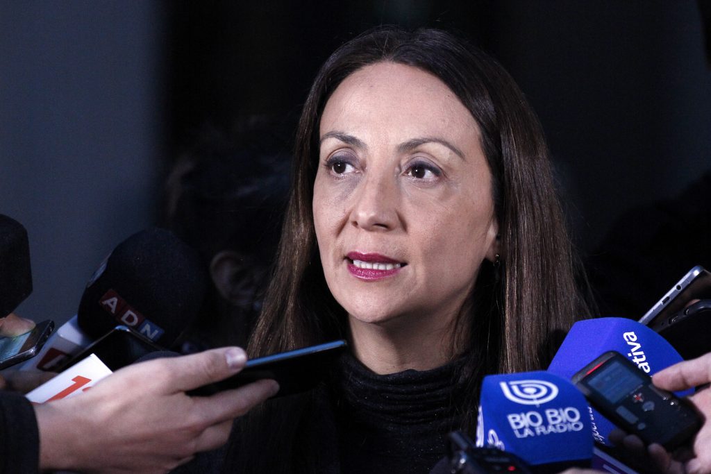 Gobierno por dichos de Chahuán: “Sin duda es un lenguaje que no corresponde”