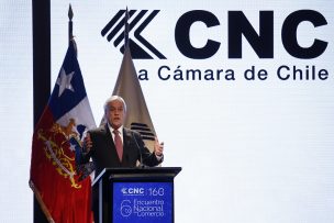 Piñera dice que se nivelará la cancha ante anuncios para plataformas digitales