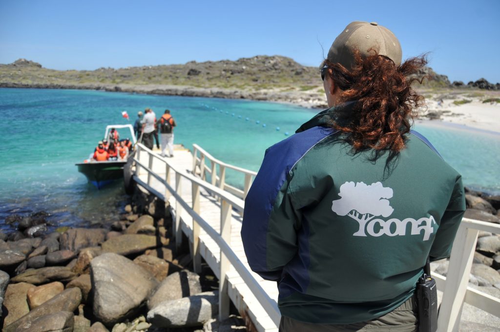 Conaf impulsará creación de ocho nuevas áreas protegidas