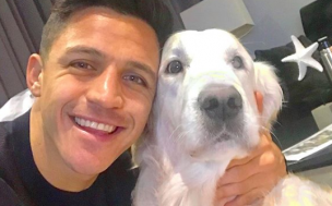 Atom y Humber recorren Chile con Alexis de guía turístico