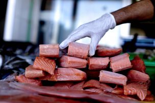 Minsal advierte de consumo de salmones tras masiva fuga en Calbuco