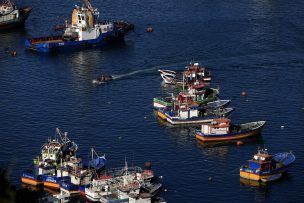 Presentan cinco medidas para combatir la pesca ilegal en aguas chilenas