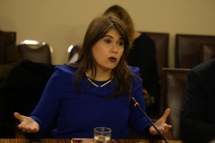 Fiscalía Nacional elaboró informe con los bienes y gastos de Javiera Blanco