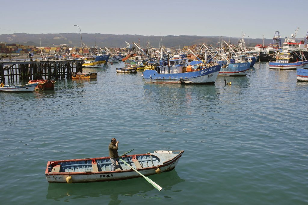 Diputados de oposición exigen la inclusión de los pescadores artesanales al Bono “Alivio Pyme”