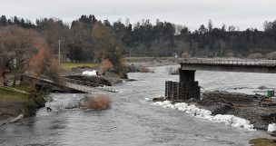 Puente colapsa con el peso de un camión en la región del Biobío