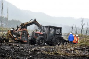 Gremio de contratistas forestales advierte expansión de atentados en el sur