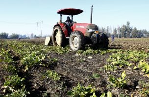 El 51% de los agricultores cree que esta temporada será mejor que la anterior