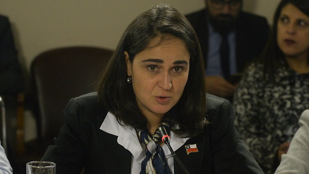 Carol Bown por informe ONU sobre Sename: “Tenemos que trabajar en un sistema preventivo que evite la vulneración”