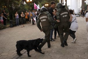 Polémica por carabinero que mató a un perro usando su arma de fuego