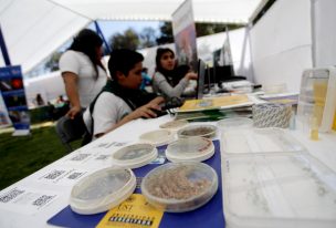 Entró en vigencia la ley que crea el Ministerio de la Ciencia