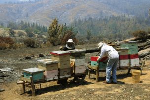 El salario mínimo en las comunas rurales