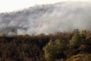 Cancelan Alerta Roja en la comuna de Alhué por incendio forestal