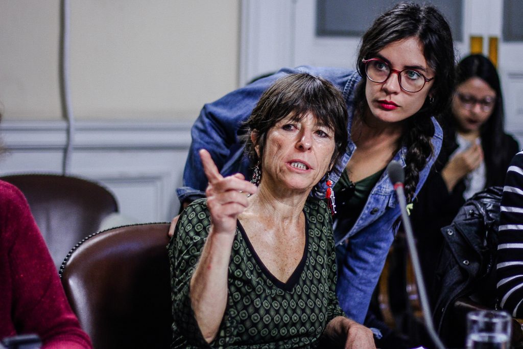 Diputadas ingresarán proyecto de aborto libre