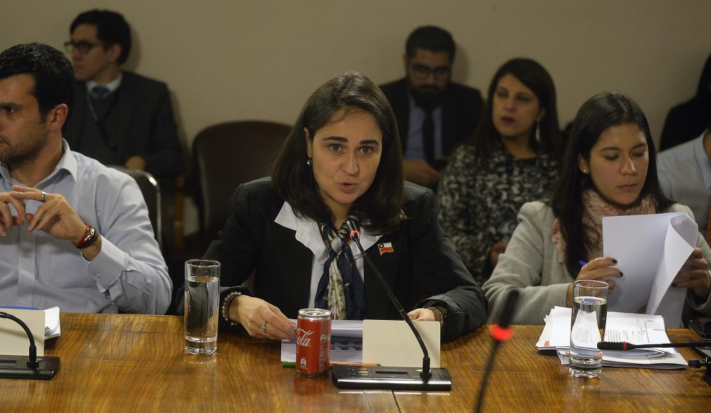 Gobierno: “En el año 2020 estarán cerrados todos los CREAD de Sename”