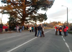 Puente en Osorno se desplomó tras colpasar por las lluvias