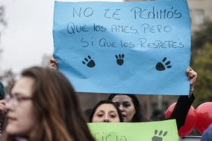 ProAnimal Chile presentó querella contra Carabineros por maltrato