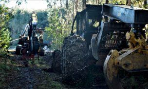 Nuevo ataque incendiario en la región del Bío-Bío