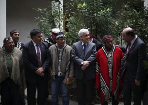 Machis y loncos entregaron propuestas a La Moneda