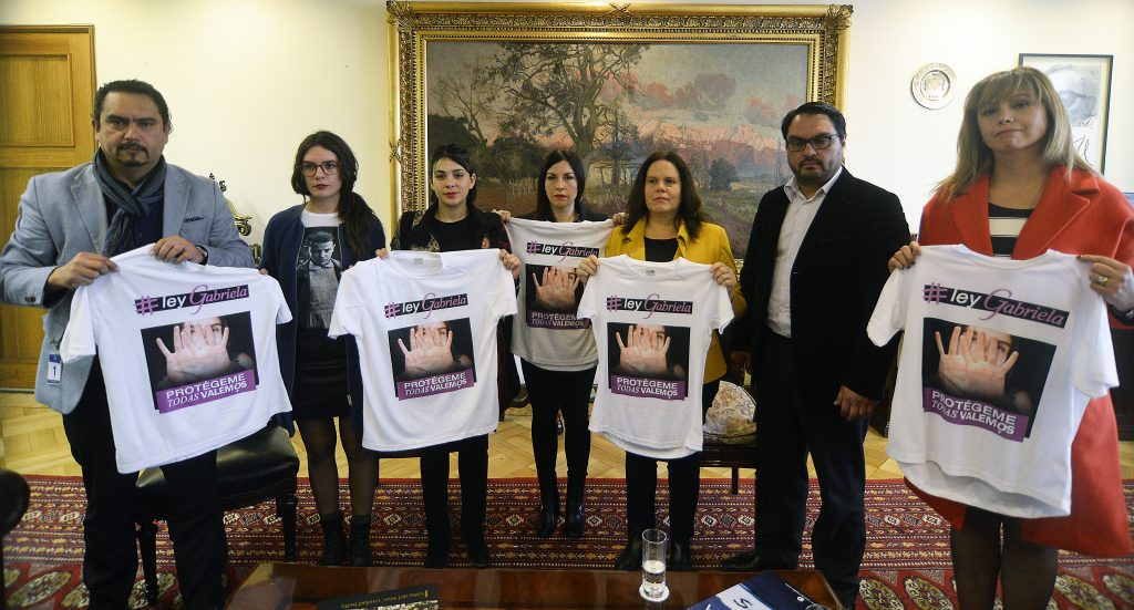 Comisión de Mujer y Equidad de Género analizó “Ley Gabriela”