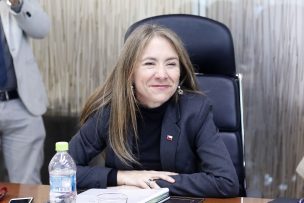 Ministra de Energía anunció organismo que reemplazará a la AChEE