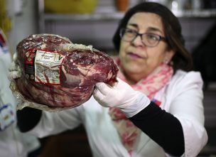 Decomisan 200 kilos de carne en matadero clandestino de La Pintana