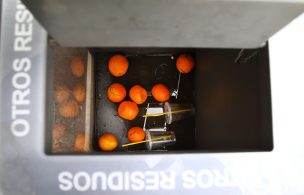 “Falsas” naranjas del palacio de La Moneda terminaron en la basura