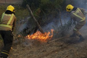 Activo se mantiene incendio forestal en Pirque y sigue alerta roja en la comuna