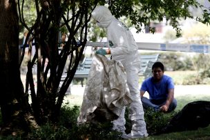 Encuentran feto en en planta de aguas servidas en Lampa