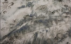 Se registra nuevo vertimiento de carbón en la Playa Ventanas en Puchuncaví