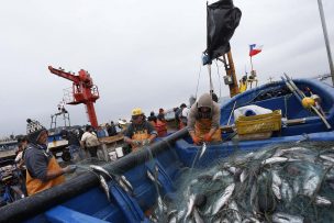 Hoy termina veda de la merluza común y WWF Chile pide mantenerla en octubre