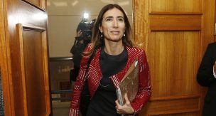 Diputados RN piden a ministra Schmidt urgencia a ley de delitos ambientales