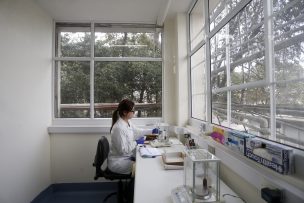 Científicos inician búsqueda del código genético del chileno