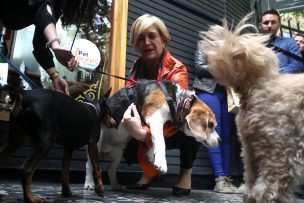 Alcadesa de Providencia presentó la primera Ruta Pet Lovers de Chile