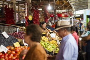 SAG detecta mangos con larvas de la mosca de la fruta en Iquique