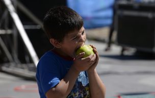 Chile es el segundo país OCDE con mayor índice de obesidad