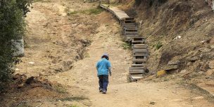 Lanzan aplicación móvil para georreferenciar a niños en situación de calle