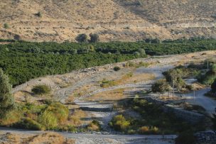 Walker critica campaña que visibilizó crisis del agua en Petorca en el exterior