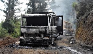 Atacante incendiario podría pertenecer a las Farc