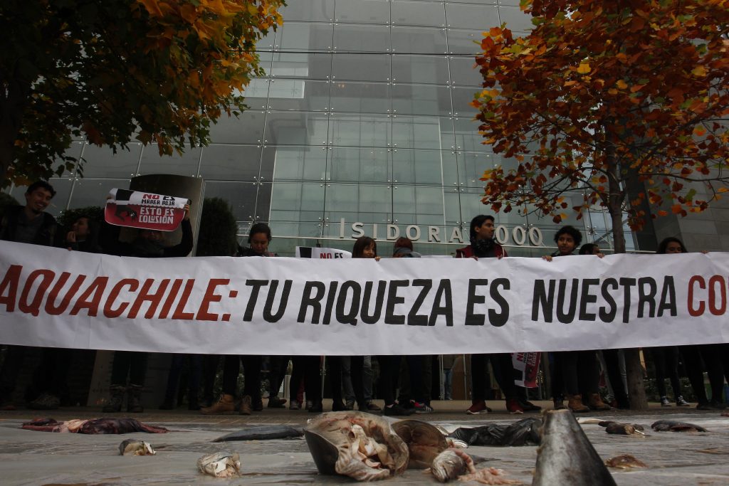 Expertos: Uso de antibióticos en salmonicultura aumenta resistencia a bacterias