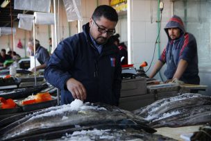 Superintendencia de Medio Ambiente formula cargos a Marine Harvest