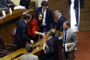 Cámara de Diputados aprobó proyecto que crea catastro nacional de mortinatos