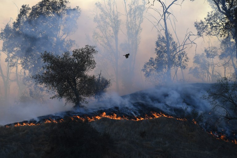 Incendios forestales en California dejan muertos y miles de evacuados
