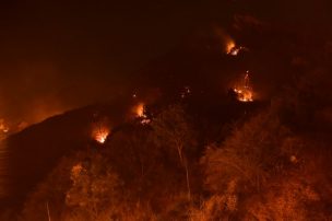 Incendios: Expertos chilenos tendrían un modelo que controla la propagación del fuego