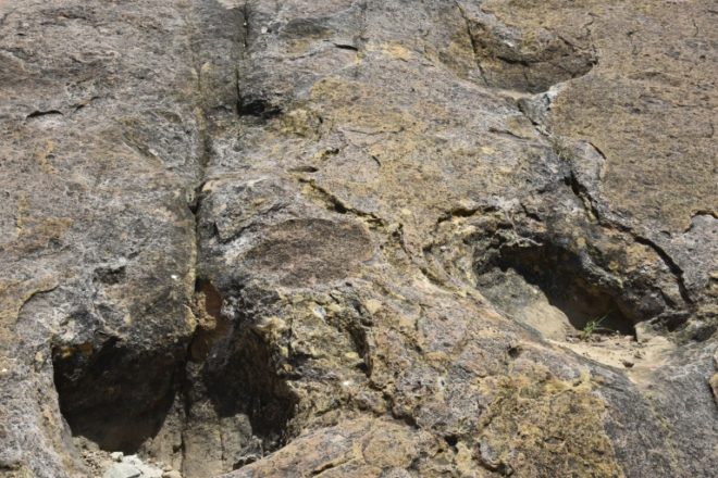 Reserva natural en Bolivia busca convertirse en nuevo “parque jurásico”