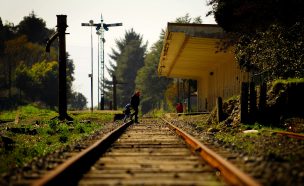[AHORA] Tren con pasajeros chocó con camión en Cautín