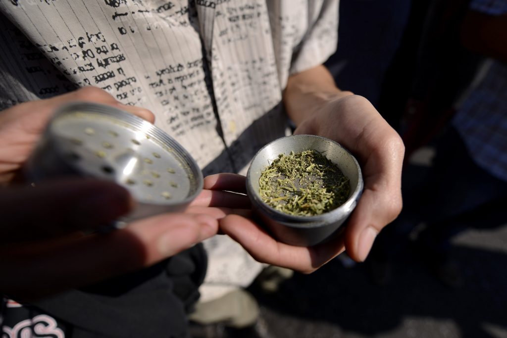 Despenalización de la marihuana: El nuevo debate entre oficialismo y oposición