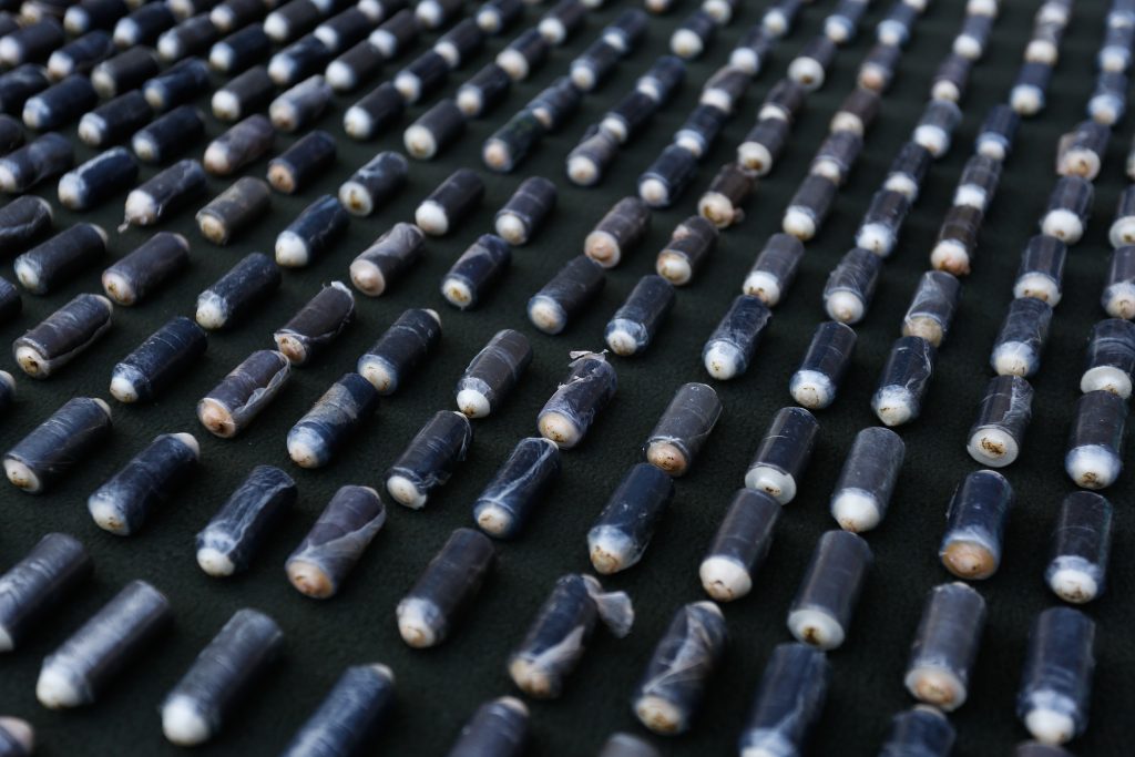 “Burrero” estuvo 3 días eliminando ovoides de cocaína tras detención